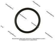 Кольцо уплотнительное подшипника задней ступицы Газель Next  (58х4)|Код 71767