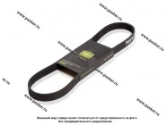 Ремень поликлиновой 6PK923 TRIALLI|Код 72345