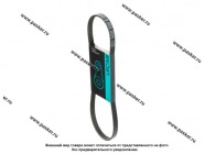 Ремень поликлиновой LECAR 4PK830 LECAR000025802|Код 77984