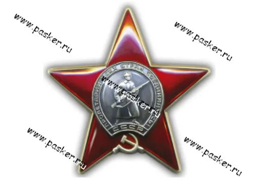 Наклейка 9 мая Орден Красной звезды 13х13см [упаковка 10 шт.]