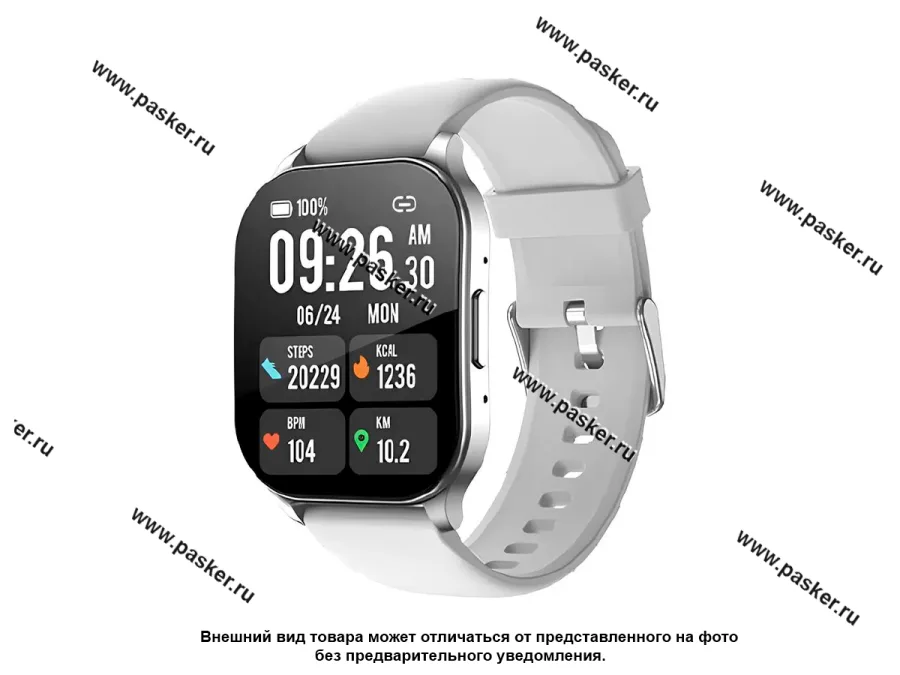 Смарт часы Wifit WiWatch S2 Silver WIF-WF007SI