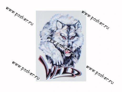 Наклейка Волк Wild 16х11см