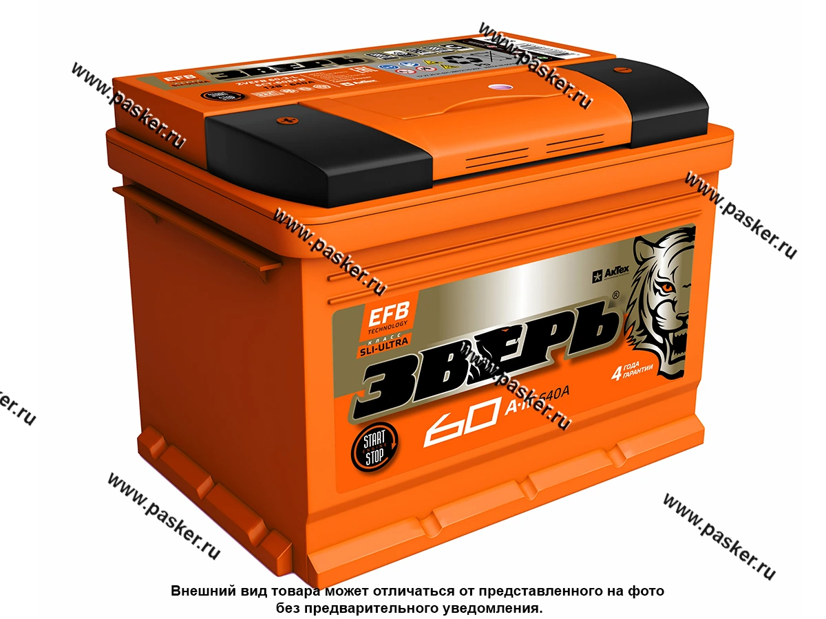 Аккумулятор ЗВЕРЬ EFB 60Ач EN640 242х175х190