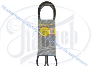 Ремень генератора ГАЗ,УАЗ дв.406 и мод. без ГУР 6PK1225 BAUTLER BTL-4061BAV