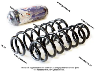 Пружина подвески Volkswagen Tiguan ФОБОС задняя 2008-16 38200 [упаковка 2 шт.]